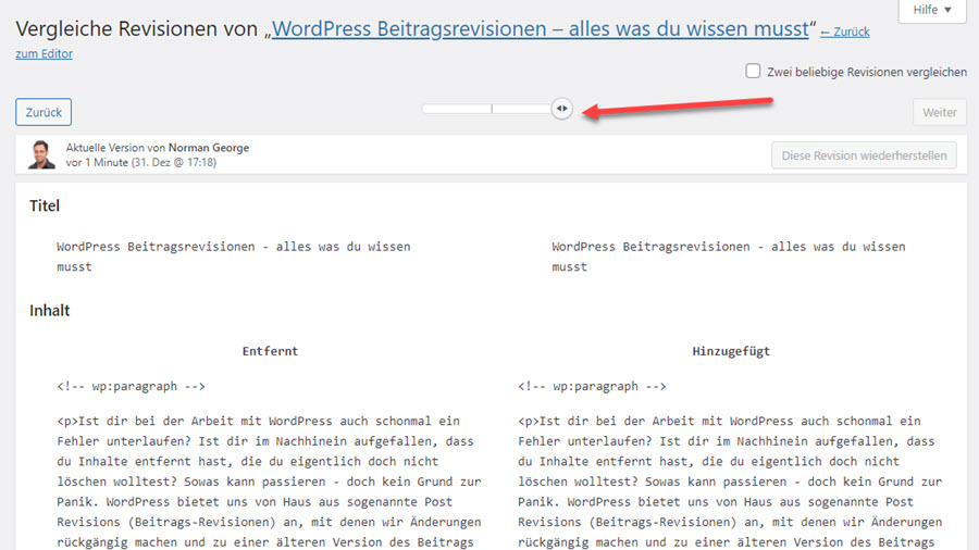 WordPress Revision